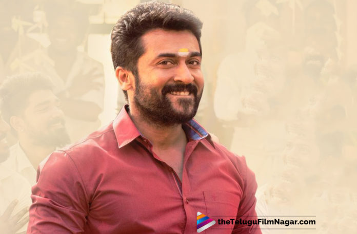 NGK Movie 1st Weekend Collections,Telugu Filmnagar,Telugu Film Updates,Tollywood Cinema News,2019 Latest Telugu Movie News,NGK Movie Latest Collections,NGK Movie 1st Weekend Area Wise Collection,NGK Movie 1st Weekend Box Office Collections,NGK Movie 1st Weekend WorldWide Collections,NGK Movie 3 Days Collections