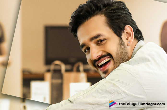 2019 Latest Telugu Movie News, Akhil Akkineni Upcoming Movie Character Revealed, Akhil to Act as a Middle Class Boy in his Next, Akhil Akkineni To Play Interesting Role In his Next Movie, Akhil Akkineni Revealed Character in next untitled film, Akhil Ropped Interesting Role, Akhil Akkineni Latest movie News, Telugu film updates, Telugu Filmnagar, Tollywood Cinema Latest News