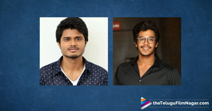 2019 Latest Telugu Movie News, Which Young Hero Will Score Hit This Week, Tollywood Hit Movies This Week, Telugu movies releasing this week, RajDooth Telugu Movie Latest News, Meghamsh Srihari Latest News, Anand debut movie Dorasani, Dorasani Movie Latest News, Anand Deverakonda Latest Movie news, Anand Deverakonda And Meghamsh Srihari Movies Compete At Box Office, Telugu Film Updates, Telugu Filmnagar, Tollywood Cinema Latest News
