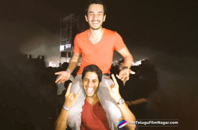 2019 Latest Telugu Movie News, Akkineni Chaitanya And Akhil to team up with Rahul Ravindran in Multi Starrer, Multi Starrer Movie by Naga Chaitanya And Akhil, Naga Chaitanya And Akhil Akkineni to do Multi Starrer Movie, Naga Chaitanya And Akhil In a Multi Starrer Movie, Naga Chaitanya And Akhil To act together, Naga Chaitanya And Akhil under direction Of Rahul Ravindran, Naga Chaitanya Latest Movie News, Telugu Film Updates, Telugu Filmnagar, Tollywood Cinema News