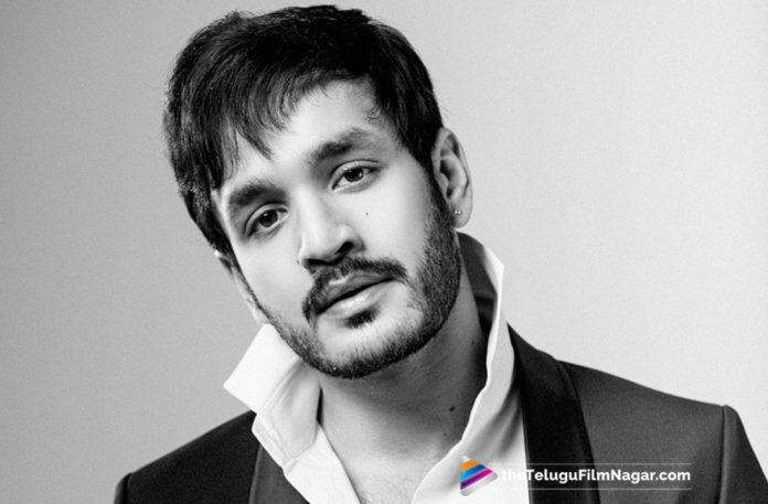 Akhil New Movie Regular Shoot To Begin Soon,Telugu Filmnagar,Latest Telugu Movies News,Telugu Film News 2019,Tollywood Cinema Updates,Akhil Akkineni New Movie Regular Shoot To Begin Soon,Akhil Akkineni Upcoming Movie News,Akhil Akkineni Next Film Updates,Akhil Akkineni Next Film Updates,Akhil Akkineni Next Project Details,#AkhilAkkineni