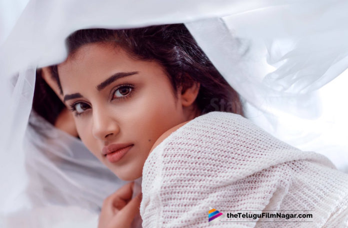 Anupama Parameswaran About Rumours on her and Bumrah 2019 Latest Telugu Movie News, Anupama Parameswaran About Rumours on her and Bumrah, Anupama Parameswaran responds to the rumours of dating Bumrah,Anupama Parameswaran Clarifies Rumours on Jasprit Bumrah dating, Anupama Parameswaran opens up on dating rumours with cricketer, Anupama Parameswaran finally responds to rumors of her dating, Telugu Film Updates, Telugu Filmnagar, Tollywood Cinema News