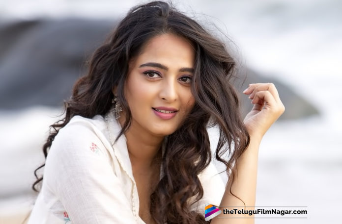 Nishabdam Movie Completes 50% Shoot,Telugu Filmnagar,Latest Telugu Movies News,Telugu Film News 2019,Tollywood Cinema Updates,Nishabdam Movie Updates,Nishabdam Telugu Movie Latest News,#Nishabdam,Shoot For Madhavan-Anushka Shetty Silence Is Fifty Percent Complete