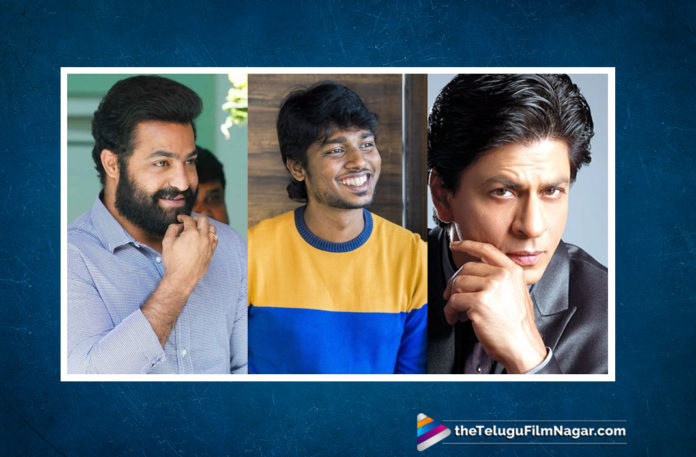 2019 Latest Telugu Movie News, Atlee to Direct Shahrukh Khan and Jr NTR, Atlee to work with Jr NTR and SRK next, Atlee might direct Jr NTR before SRK in his next, Shah Rukh Khan to team up with Tamil director Atlee, Director Atlee Latest Movie Updates, Telugu Film Updates, Telugu Filmnagar, Tollywood Cinema Latest News