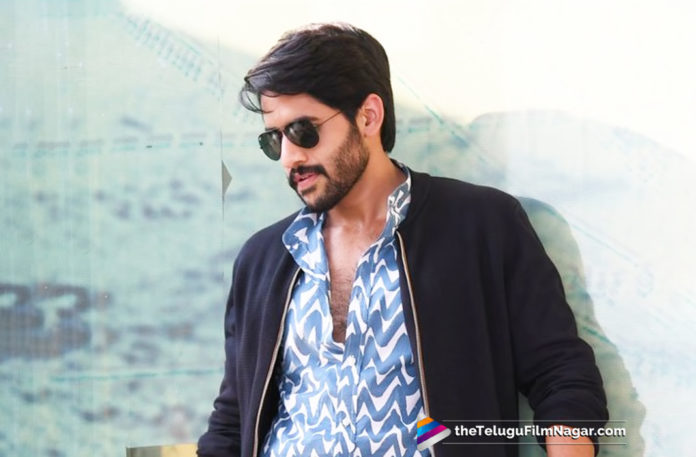 2019 Latest Telugu Movie News, Will The Same Sentiment Work For Naga Chaitanya,Naga Chaitanya Same Sentiment to Continue For This Year, Naga Chaitanya With Same Sentiment, Naga Chaitanya Latest Movie Updates, Naga Chaitanya Upcoming movie Projects, Naga Chaitanya With 2 More Projects, Telugu Film Updates, Telugu Filmnagar, Tollywood Cinema News