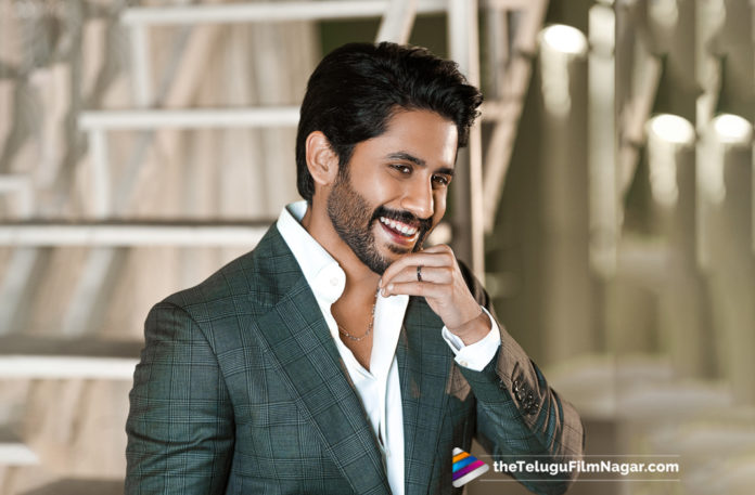 2019 Latest Telugu Movie News, Naga Chaitanya Targets Festival Seasons, Venky Mama Planning to Release for this Dussehra, Venky Mama gets a new release date, Venky Mama Release Date, Festival Seasons Targeted By Naga Chaitanya, Naga Chaitanya Venky Mama Movie Latest News, Telugu Film updates, Telugu Filmnagar, Tollywood cinema News