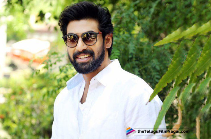 2019 Latest Telugu Film News, Muralitharan biopic Latest News, Muttiah Muralitharan Biopic To Be Produced By Rana Daggubati, Rana Daggubati is all set to co produce Muralitharan biopic, Rana Daggubati to bankroll Sri Lankan cricketer Muttiah Muralitharan Biopic, Rana Daggubati To Produce A Popular Cricketer Biopic, Rana Daggubati to Produce Muttiah Muralitharan Biopic, Rana Daggubati turns producer for Vijay Sethupathi Muttiah Muralitharan biopic, Telugu Film Updates, Telugu Filmnagar, Tollywood Cinema News