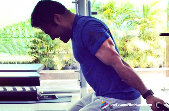 2019 Latest Telugu Movie News, Jr NTR Works Hard in Gym for RRR Movie, Jr NTR Look In RRR Movie, Jr NTR Diet Plan, Jr NTR Hard Workouts for RRR Movie, Jr NTR Latest Movie News, RRR Telugu Movie Latest News, NTR gives his efforts for RRR, Jr NTR sheds Weight for RRR Movie, Telugu film updates, Telugu Filmnagar, Tollywood Cinema Latest News