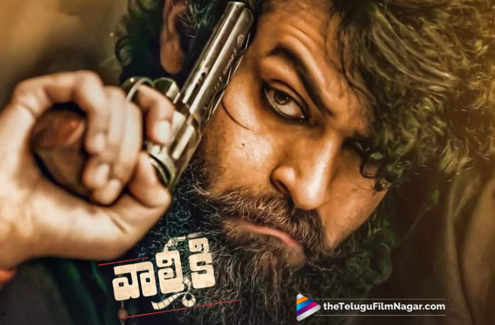 2019 Latest Telugu Movie News, Dimple Hayathi to do Item Song in Varun Tej Valmiki Movie, Dimple Hayati mass number in Varun Tej Valmiki, Dimple Hayati to play item Song In Valmiki Movie, Hot Girl Dimple Hayati For Valmiki Special Song, Telugu Film Updates, Telugu Filmnagar, Tollywood Cinema News, Valmiki Item Song By Dimple Hayati, Valmiki Special Song Acquired This Telugu Girl