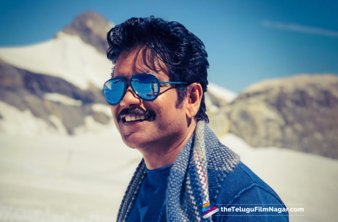 2019 Latest Telugu Movie News, Nagarjuna Manmadhudu 2 Movie Character Revealed, Shades of Nagarjuna in Manmadhudu 2, Nagarjuna Character in Manmadhudu 2 movie, Manmadhudu 2 Movie Latest Updates, Nagarjuna Role From Manmadhudu 2, Nagarjuna Role Revealed In Manmadhudu 2, telugu film updates, Telugu Filmnagar, Tollywood cinema News