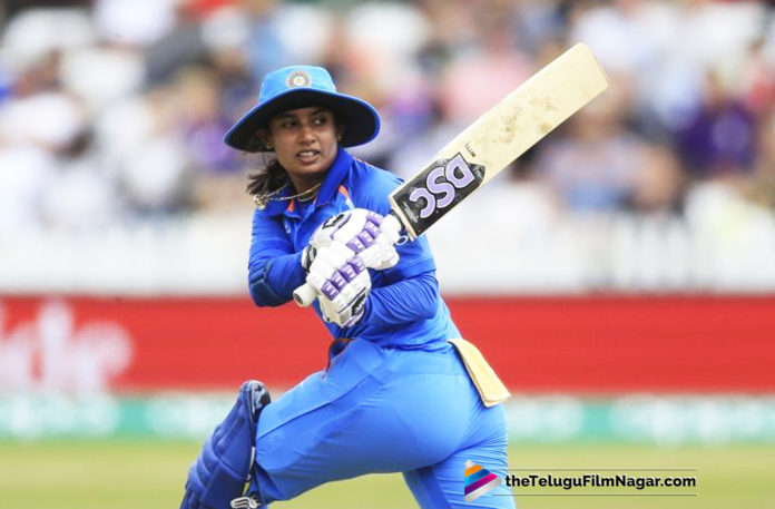 Taapsee Pannu to act in Cricketer Mithali Raj Biopic,Telugu Filmnagar,Telugu Film News 2019,Telugu Cinema Updates,Latest Telugu Movie News,Actress Taapsee Pannu Latest News,Heroine Taapsee Pannu Upcoming Movie News,Taapsee Pannu In Cricketer Mithali Raj Biopic,Mithali Raj Biopic Latest News