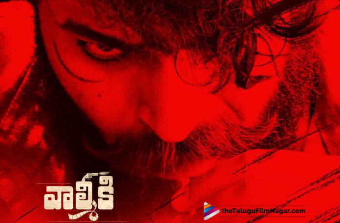 Varun Tej Valmiki Movie Shooting Takes Place in Anantapur,Telugu Filmnagar,Latest Telugu Movies News,Telugu Film News 2019,Tollywood Cinema Updates,Valmiki Movie Updates,Valmiki Telugu Movie Latest News,Varun Tej Valmiki Movie Shooting In Anantapur,Mega Hero Valmiki Movie Shooting in Rayalaseema