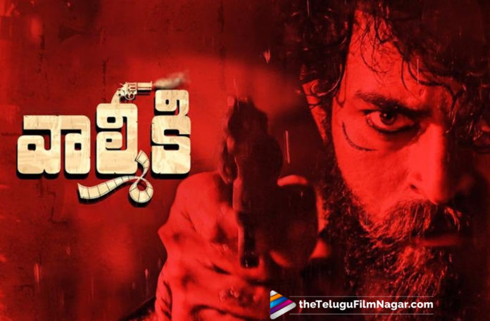 2019 Latest Telugu Film News, Varun Tej Valmiki Nizam Pre Release Business Details, Pre Release Business Details Of Valmiki, Valmiki Movie Latest News, Here Is Valmiki Pre Release Business, High Price For Valmiki Telugu Movie Pre Release Business, Telugu Film Updates, Telugu Filmnagar, Tollywood Cinema News