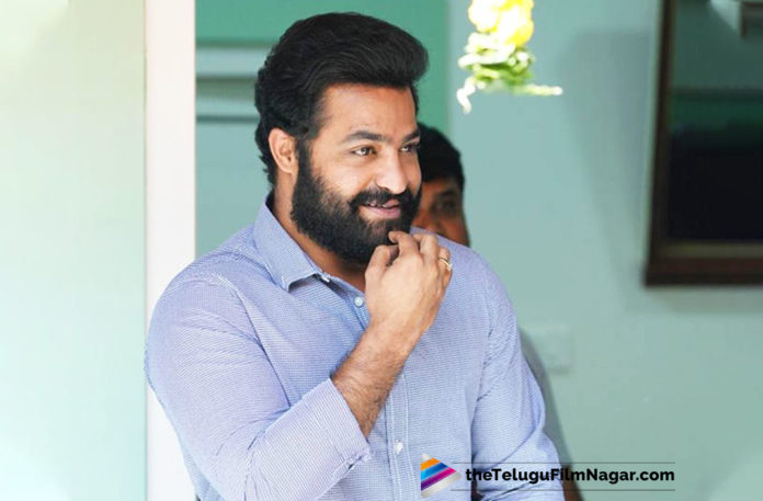 Jr NTR to Pair up with British Actress for RRR Movie,Telugu Filmnagar,Latest Telugu Movies News,Telugu Film News 2019,Tollywood Cinema Updates,RRR Movie Updates,RRR Telugu Movie Latest News,Jr NTR Going To Pairup With A Foreign Actress In RRR Movie,Jr NTR Pair Up With Actress Daisy Edgar Jones In RRR