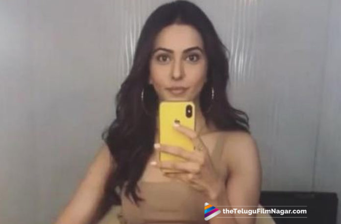 2019 Latest Telugu Film News, Rakul Preet Joins Bharateeyudu 2 Movie Shooting, Rakul Preet Joins Bharateeyudu 2 Shoot, Rakul Preet Ropped An Interesting Opertunity, Bharateeyudu 2 Revived with Rakul's Portion, Rakul To Join Indian-2 Shoot In Rajahmundry, Bharateeyudu 2 Latest Movie News, Telugu Film Updates, Telugu Filmnagar, Tollywood Cinema News