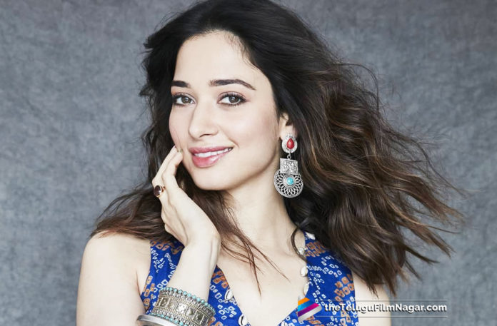 2019 Latest Telugu Film News,Tamannaah To Work With Bhaagamathie Director, Bhaagamathie Director To Work With Tamannaah, Tamannaah Next Project, Tamannaah Latest Movie News, Tamannaah Ropped An interesting Opportunity, Tamannaah Role In Bhaagamathie Director Movie Role, Telugu Film Updates, Telugu Filmnagar, Tollywood Cinema News