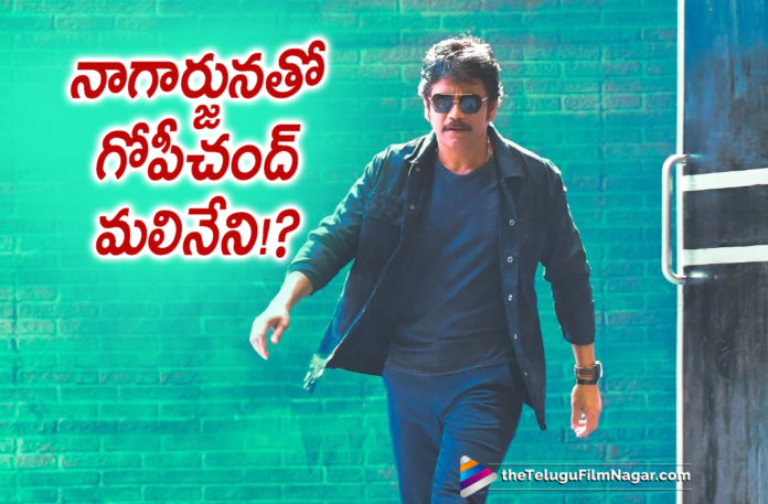 2019 Latest Telugu Film News, Nagarjuna New Movie in Gopichand Malineni Direction, Nagarjuna New Movie, in Gopichand Direction Nagarjuna Movie, Nagarjuna Next With Gopichand Malineni, Nagarjuna Latest Movie News, Nagarjuna To Work With Gopichand Malineni, Telugu Film Updates, Telugu Filmnagar, Tollywood Cinema News