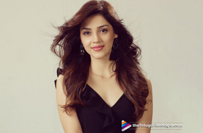 2019 Latest Telugu Film News, Mehreen New Movie To Release For Sankranthi, Sankranthi Releasing Movies, Mehreen Upcoming Movie Release Date, Mehreen Latest Movie News, Mehreen Pirzada Upcoming Movies, Mehreen Entha Manchi Vadavura Ra Movie release Date, Telugu Film updates, Telugu Filmnagar, Tollywood cinema News
