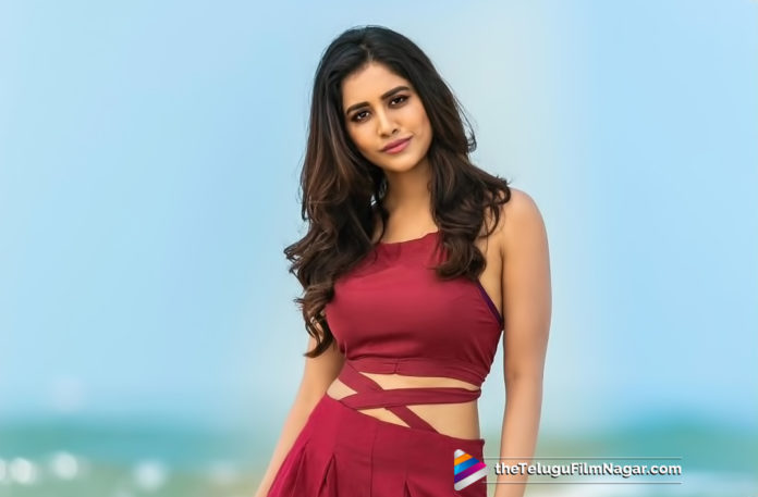 2019 Latest Telugu Film News, iSmart Heroine Bags A Crazy Project, Nabha Natesh Bags Raviteja Crazy Project , Nabha Natesh with Raviteja, Nabha Natesh Ropped An Interesting Role, Nabha Natesh To Work With Ravi Teja, Nabha Natesh Busy With Upcoming Projects, Telugu Film updates, Telugu Filmnagar, Tollywood cinema News