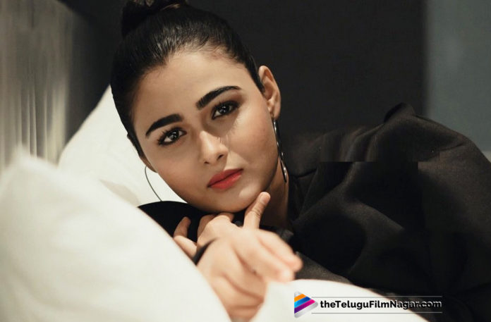 2019 Latest Telugu Film News, Arjun Reddy Fame Shalini Pandey New Movie Details, Shalini Pandey New Movie Updates, Shalini Pandey Latest Movie News, Arjun Reddy Fame Shalini Pandey, Shalini Pandey Ropped An Interesting Movie, Telugu Film Updates, Telugu Filmnagar, Tollywood Cinema News