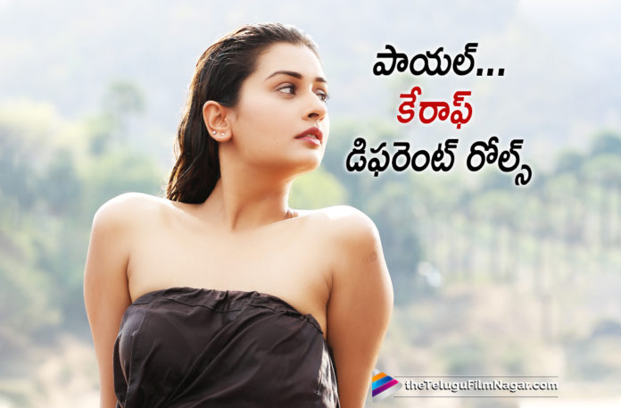 Payal Rajput Gracing with Different Roles,Telugu Filmnagar,Latest Telugu Movies News,Telugu Film News,Telugu Movies News 2019,Actress Payal Rajput Latest News,Heroine Payal Rajput Upcoming Movie News,Payal Rajput Next Film Updates,Payal Rajput New Movie News,Payal Rajput Upcoming Project Details,Payal Rajput New Films Updates,Payal Rajput turns into RDX,Payal Rajput loves challenging roles