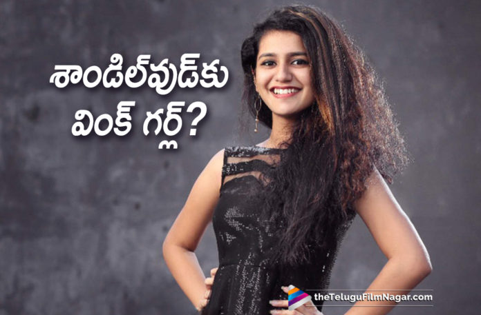 2019 Latest Telugu Film News, Priya Prakash Varrier To Enter Sandalwood, Confirmed Priya Varrier Confirmed to make her Kannada debut, Priya Prakash Varrier Entered In Sandalwood, Priya Prakash Varrier is back in Sandalwood, Priya Prakash Varrier Latest Movie news, Prashanth Neel welcomes Priya Prakash Varrier to Sandalwood, Telugu Film Updates, Telugu Filmnagar, Tollywood cinema News