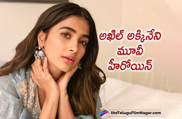 2019 Latest Telugu Film News, Akhil Akkineni to Pair up with Pooja Hegde, Akhil Akkineni LAtest Movie news, Akhil Akkineni To Work With Pooja Hegde, Pooja Hegde Next With Akhil Akkineni, Pooja Hegde Opposite To Akhil Akkineni, Telugu Film Updates, Telugu Filmnagar, Tollywood Cinema News