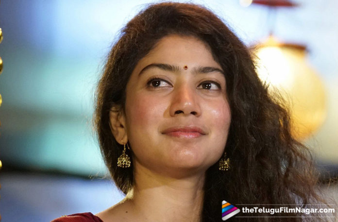 2019 Latest Telugu Film News, Sai Pallavi to Act as Classical Dancer in Sekhar Kammula Movie, Sai Pallavi to Act as Classical Dancer, Sai Pallavi Role as Classical Dancer In Her Next, Sai Pallavi Latest Movie News, Sekhar Kammula Movie Sai Pallavi Role as Classical Dancer, Telugu Film Updates, Telugu Filmnagar, Tollywood cinema News
