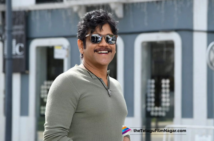 2019 Latest Telugu Film News, Naga Chaitanya And Akhil Plan Surprise Birthday Gift For Nagarjuna, Nagarjuna Surprise Birthday Gift, Surprise Birthday Gift Planning For Nagarjuna, nagarjuna Latest Movie News, Europe trip planning for nagarjuna birthday, Nagarjuna Birthday, Nagarjuna Birthday Special Gift By Akhil And Chaitanya, Telugu Film updates, Telugu Filmnagar, Tollywood cinema News