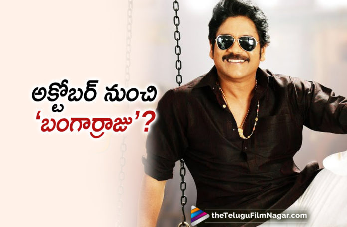 2019 Latest Telugu Film News, Bangar Raju Movie Shooting Starts From October 2019, Nagarjuna Bangar Raju Movie, Nagarjuna Bangar Raju Movie Starts from October 2019, nagarjuna Latest Movie News, Nagarjuna To Shoot Next Bangar Raju Movie, Telugu Film Updates, Telugu Filmnagar, Tollywood Cinema News