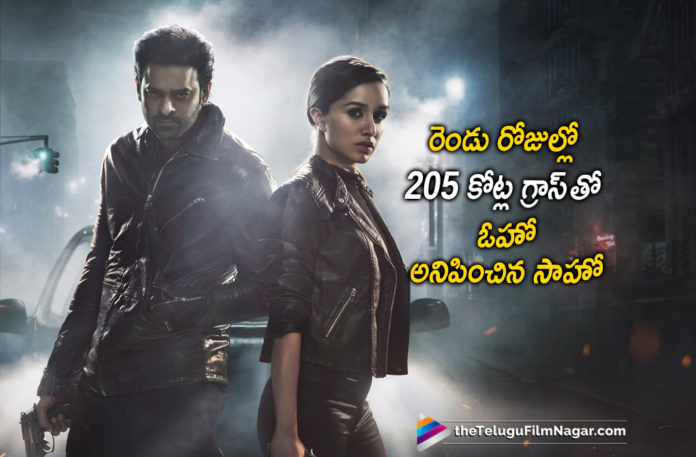2019 Latest Telugu Film News, Telugu Film Updates, Telugu Filmnagar, Tollywood Cinema News, Prabhas Saaho Latest Movie News, Saaho Movie Collections, Saaho Movie Latest Collection , Saaho Movie Area Wise Collections, Saaho Box Office Rampage Continues, Saaho Box Office Collections