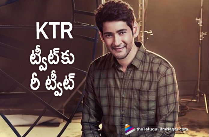 Mahesh Babu Superb Reply To KTR Tweet,Telugu Filmnagar,Latest Telugu Movies News,Telugu Film News 2019,Tollywood Cinema Updates,Actress Trisha Latest News,Superstar Mahesh Babu Superb Reply To Minister KTR Tweet,Minister KTR Press Meet After Review On Viral Fevers,Mahesh Babu Respond To The KTR Tweet On Viral Fevers