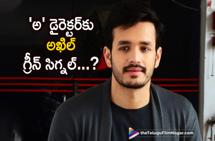 Akhil To Work With Awe Movie Director?,Telugu Filmnagar,Latest Telugu Movies News,Telugu Film News 2019,Tollywood Cinema Updates,Akhil Upcoming Movie News,Akhil Next Film Updates,Akhil New Movie News,Akhil Next Film Updates,Akhil Next Project Details,#Akhil