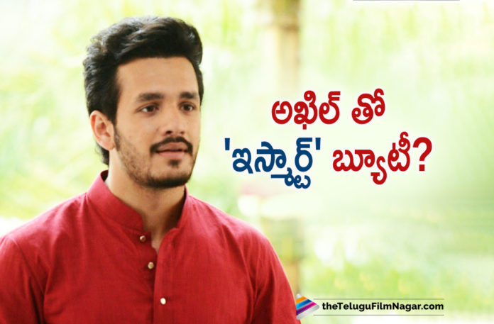 iSmart Beauty To Pair Up With Akhil Akkineni Akhil Akkineni New Movie News, Akhil Akkineni Next Film Updates, Akhil Akkineni to join hands with Priyanka Jawalkar, Akhil Akkineni Upcoming Movie News, iSmart Beauty To Pair Up With Akhil Akkineni, Latest Telugu Movies News, Telugu Film News 2019, Telugu Filmnagar, Tollywood Cinema Updates
