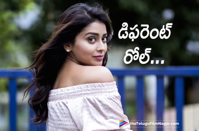 2019 Latest Telugu Film News, Telugu Film Updates, Telugu Filmnagar, Tollywood Cinema News, Shriya Saran In A Different Role, A Different Role by Shriya Saran, Shriya Saran To Do Mother Character In Next, Shriya Saran to become mother in Her Next, Shriya Saran to once again play a mother in her next film