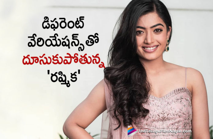 Actress Rashmika Mandanna Upcoming Roles, Latest Telugu Movies New, Latest Telugu Movies News, Rashmika About Her Different Role, Rashmika Looking for Roles, Rashmika Mandanna To Play A Different Role, Rashmika New Movies Roles, Telugu Film News 2019, Telugu Filmnagar, Tollywood Cinema Updates