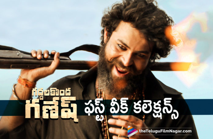 Gaddalakonda Ganesh Movie First Week Collections,Telugu Filmnagar,Latest Telugu Movies News,Telugu Film News 2019,Tollywood Cinema Updates,Gaddalakonda Ganesh Movie Updates,Gaddalakonda Ganesh Telugu Movie Latest News,Gaddalakonda Ganesh Collections,Gaddalakonda Ganesh Movie Collections,Gaddalakonda Ganesh Telugu Movie Collections,Gaddalakonda Ganesh 1st Week Collections,Gaddalakonda Ganesh First Week Areawise Collections,Gaddalakonda Ganesh Telugu Movie 1st Week Box Office Collections,Gaddalakonda Ganesh Movie Worldwide Collections