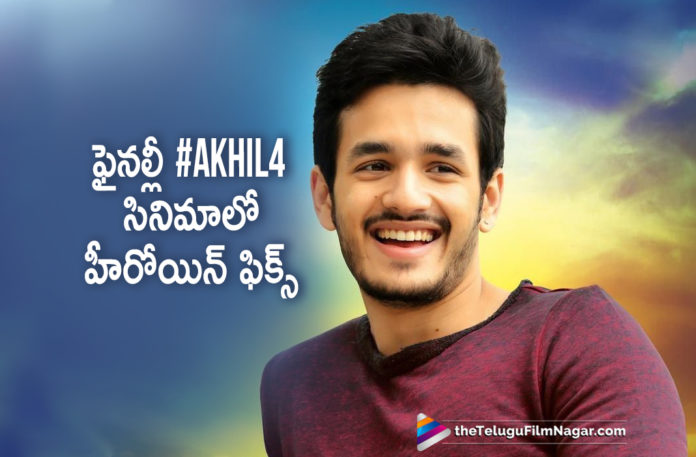 Telugu Film News 2019, Telugu Filmnagar, Tollywood Cinema Updates, Heroine Fixed For Akhil Next Movie, Star Heroine in Akhil next, Pooja Hegde for Akhil Akkineni, Akhil Akkineni Forth Film Updates, Akhil Akkineni Latest Movie News, Pooja Hegde joins Akhil Akkineni's fourth film as lead actress , Pooja Hegde signs her next opposite Akhil Akkineni