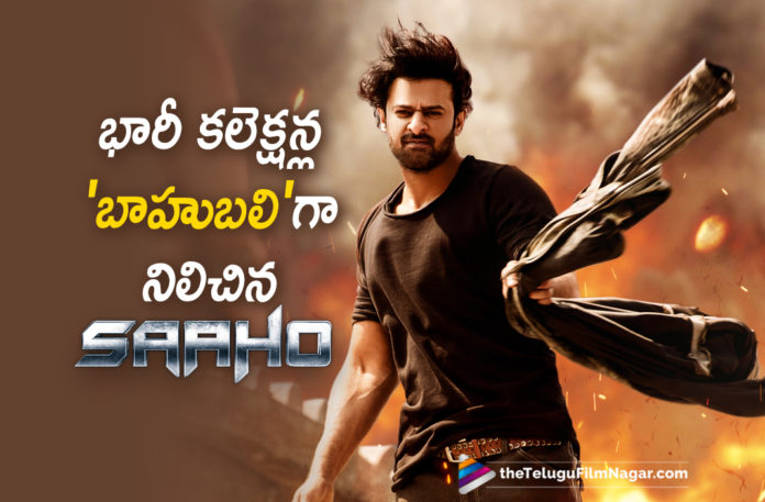 2019 Latest Telugu Film News, Telugu Film Updates, Telugu Filmnagar, Tollywood Cinema News, Saaho 1st Week Worldwide Collections, Saaho Movie Collections,Saaho 1st Week Area Wise Collections, Prabhas Saho 1st Week Total Collections, Saaho Box Office Collection , Saaho Day 7 Telugu Box Office Collection