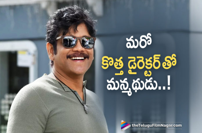 Nagarjuna To Work With A New Director Again,Telugu Filmnagar,Latest Telugu Movies News,Telugu Film News 2019,Tollywood Cinema Updates,Nagarjuna Upcoming Movie News,Nagarjuna New Movie News,Nagarjuna Next Film Updates,Akkineni Nagarjuna Latest Movie Updates,Nagarjuna Next Project Details