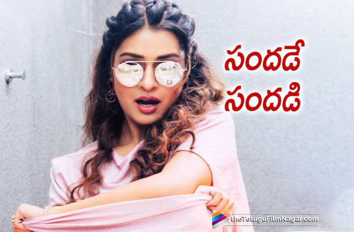 Payal Rajput to Entertain with Back to Back Films 2019 Latest Telugu Film News, Telugu Film Updates, Telugu Filmnagar, Tollywood Cinema News, Payal Rajput to Entertain with Back to Back Films, Payal Rajput Busy With Projects, Payal Rajput Signs Interesting Projects, Payal Rajput Latest Movie News, Payal Rajput Ropped An Interesting Role in Her Next