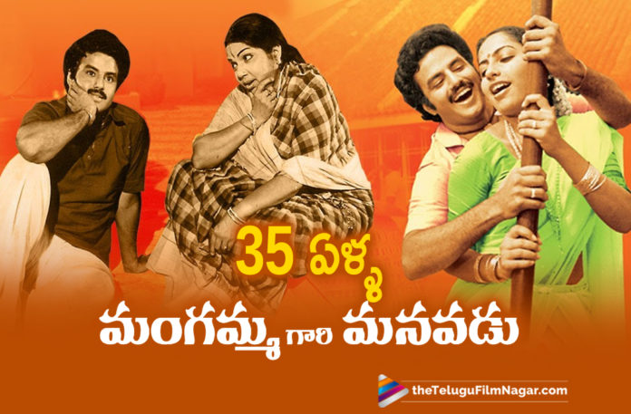 2019 Latest Telugu Film News, Telugu Film Updates, Telugu Filmnagar, Tollywood Cinema News, 35 Years for Balakrishna Blockbuster Mangammagari Manavadu, Mangammagari Manavadu Telugu Movie, Balakrishna Starrer Mangammagari Manavadu Movie, Mangammagari Manavadu Movie Completed 35 Years, Balakrishna Latest Movie News