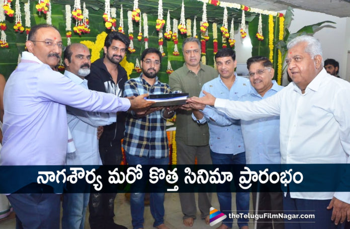 Naga Shaurya New Movie Launched,Latest Telugu Movies News, Telugu Film News 2019, Telugu Filmnagar, Tollywood Cinema Updates,Naga Shaurya New Movie,Naga Shaurya Upcoming Movie Details,Naga Shaurya Latest News 2019