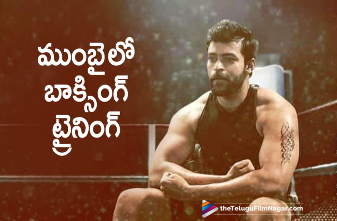 Varun Tej To Undergo Boxing Training In Mumbai?,Latest Telugu Movies News, Telugu Film News 2019, Telugu Filmnagar, Tollywood Cinema Updates,Mega Prince Varun Tej Flying To Mumbai,Varun Tej Boxing Boot Camp,Varun Tej Boxing Training