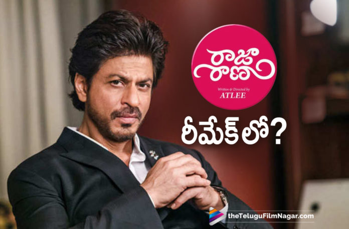 Shahrukh Khan To Remake Raja Rani Movie,latest telugu movies news,Telugu Film News 2019, Telugu Filmnagar, Tollywood Cinema Updates,Shahrukh Khan Latest News 2019,Raja Rani Movie Remake,Shahrukh Khan to Remade Raja Rani Movie
