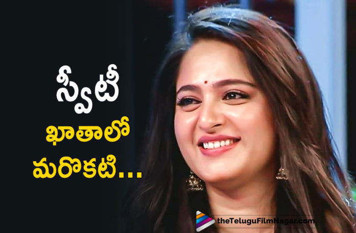 Anushka Once Again Comes up with a Female Centric Role,Latest Telugu Movies News, Telugu Film News 2019, Telugu Filmnagar, Tollywood Cinema Updates,Anushka New Female Centric Role,Actress Anushka Upcoming Women Centric Role,Anushka Latest News 2019