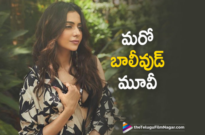 Rakul Preet Singh Sign Up For A New Bollywood Movie,Latest Telugu Movies News, Telugu Film News 2019, Telugu Filmnagar, Tollywood Cinema Updates,Rakul Preet Singh New Bollywood Movie,Actress Rakul Preet Singh Latest Bollywood Movie,Heroine Rakul Preet New Bollywood Movie