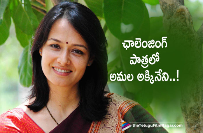 Amala Akkineni Takes Up Challenging Role,Latest Telugu Movies News, Telugu Film News 2019, Telugu Filmnagar, Tollywood Cinema Updates,Akkineni Amala Challenging Role,Amala Akkineni Next Interesting Role,Amala Akkineni Recent News