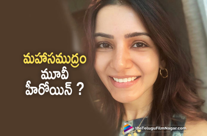 Samantha To Team Up Again With Sharwanand For Mahasamudram,Telugu Filmnagar,Latest Telugu Movies News,Telugu Film News 2020,Tollywood Movie Updates,Samantha Latest News,Samantha New Movie News,Samantha Next Film News,Samantha Latest Movie Details,Samantha Next Project News