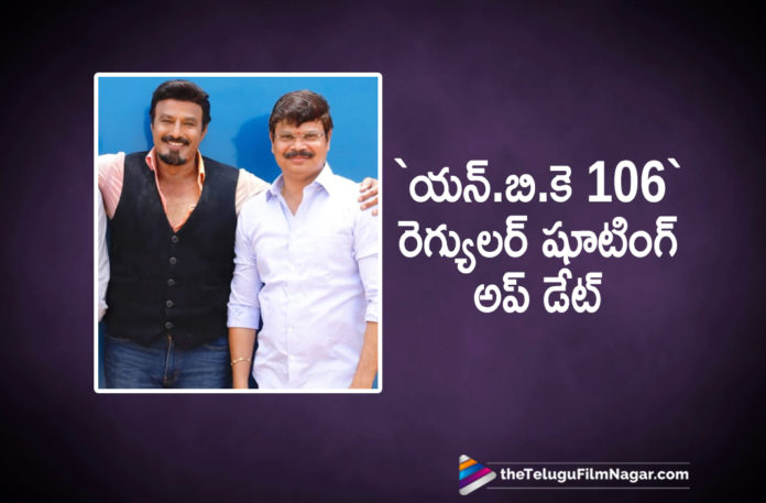 Boyapati Srinu – Balakrishna New Movie Shooting Starts From February 15,Telugu Filmnagar,Latest Telugu Movies News,Telugu Film News 2020,Tollywood Movie Updates,Boyapati Srinu – Balakrishna Latest Movie Details,Boyapati Srinu – Balakrishna Next Film News,Boyapati Srinu – Balakrishna Next Project News